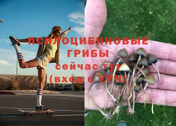 ECSTASY Остров