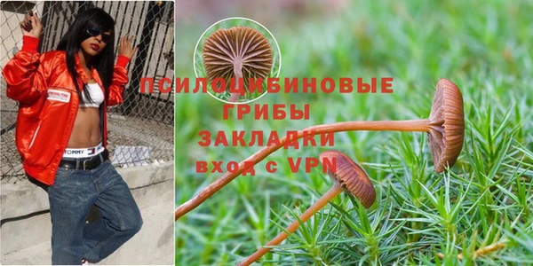 метамфетамин Киселёвск