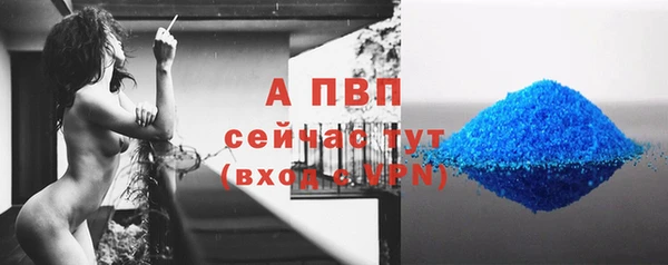 ГАЛЛЮЦИНОГЕННЫЕ ГРИБЫ Нягань