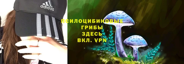винт Кирсанов