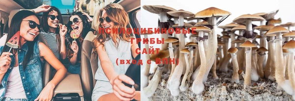MESCALINE Осинники