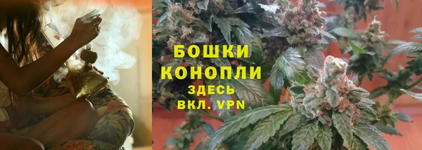 MESCALINE Осинники